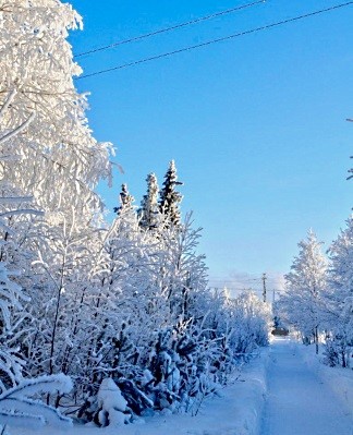 Снежное, морозное утро.